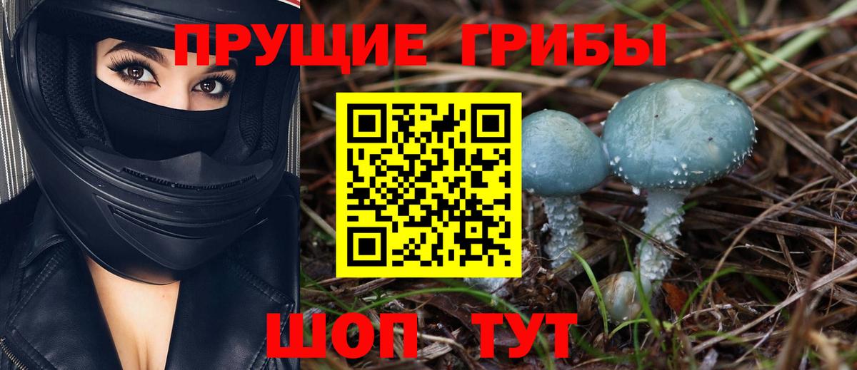 Галлюциногенные грибы мухоморы  Вход с VPN  Северобайкальск 